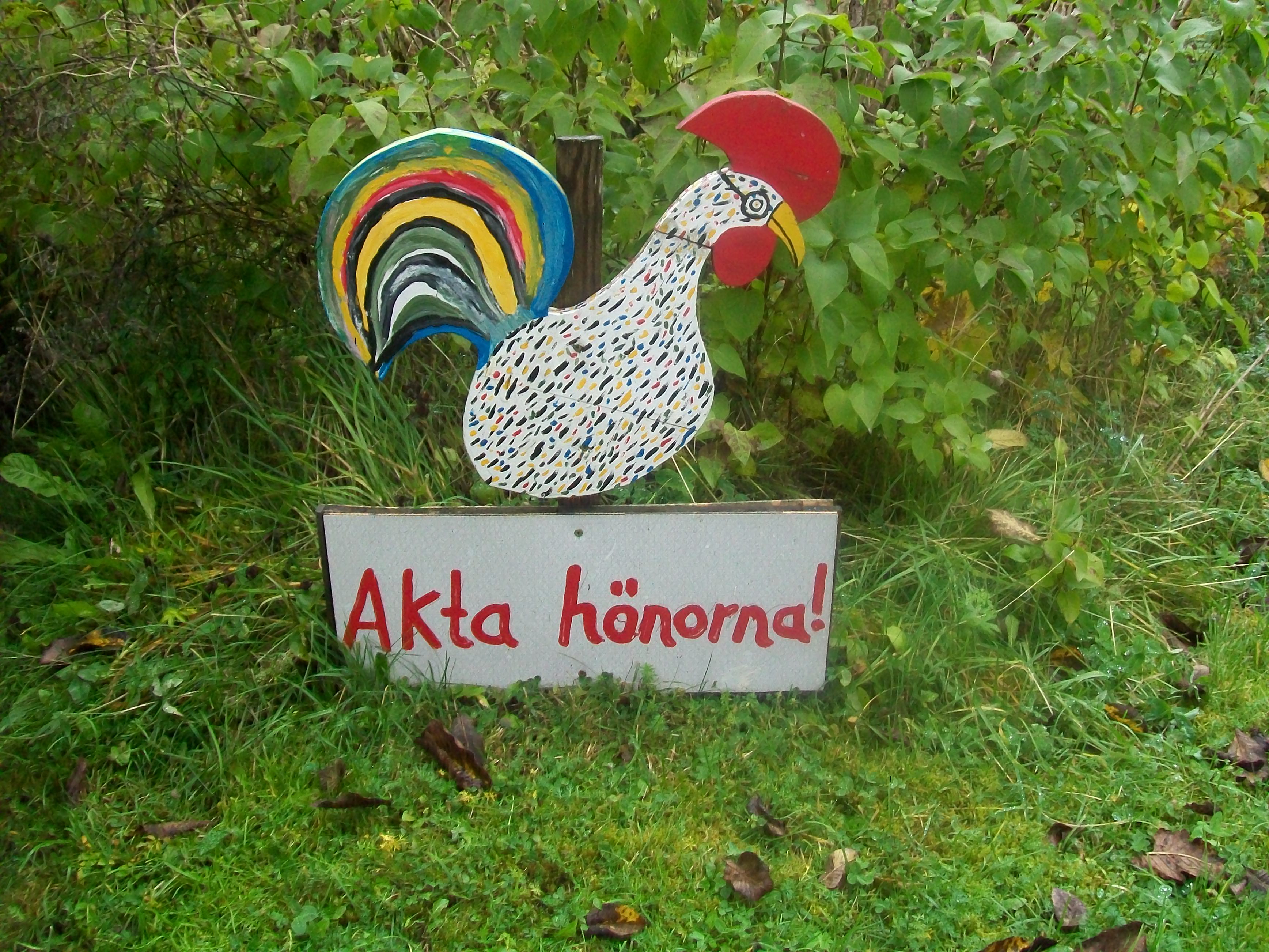beställa ica ort beställa ica ort